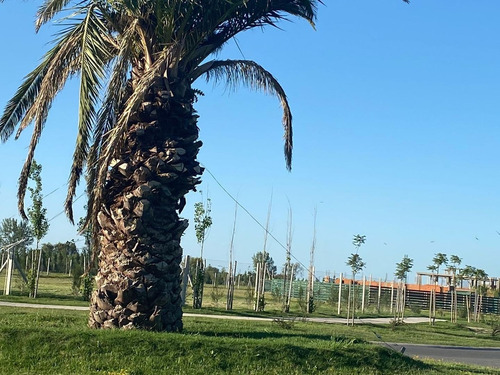 Imagen 2 de 14 de Lote En Venta Los Carpinchos Al Agua!