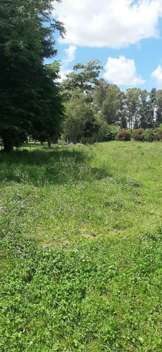 Imagen 9 de 13 de Lotes Baldíos De 744 M2 En Cañuelas (ref: El Retiro)