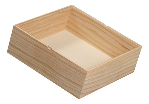 Caja De Sushi, Solución De Almacenamiento De Sushi, L