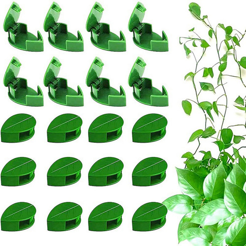 Abrazadera De Pared Autoadhesiva Para Plantas Trepadoras Inv