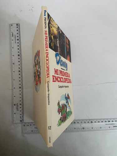 Disney Mi Primera Enciclopedia Guepardo- Impuestos (Usado)