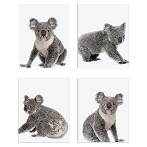 Impresiones Minimalistas De Koalas, Juego De 4 (8x10), ...