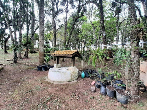 Imagem 17 de 30 de Chácara Com 2 Dormitórios À Venda, 37784 M² Por R$ 660.000,00 - Rio De Una - São José Dos Pinhais/pr - Ch0071