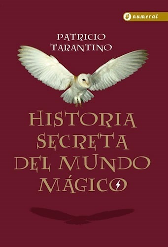 Imagen 1 de 2 de Historia Secreta Del Mundo Mágico - Patricio Trantino