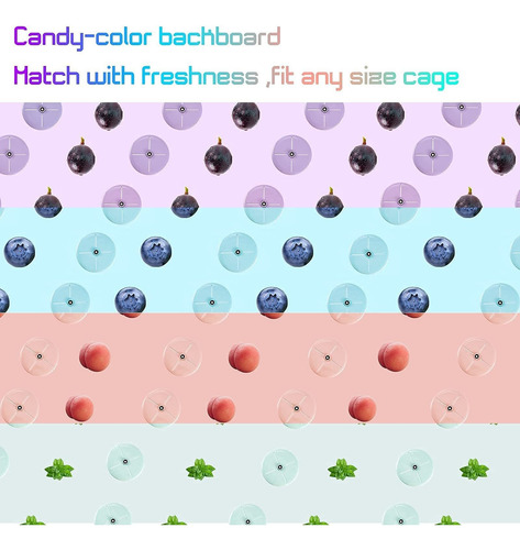 Imagen 7 de 8 de Rueda De Hámster Windmill Silent Candycolor Con Base D...