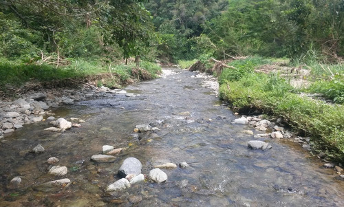 En Venta Finca Ideal Para Ganadería, Cría De Caballos Entre Otras Actividades.