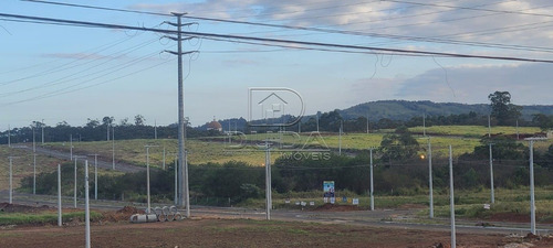 Imagem 4 de 15 de Terreno - Cristo Rei - Ref: 34055 - V-34052