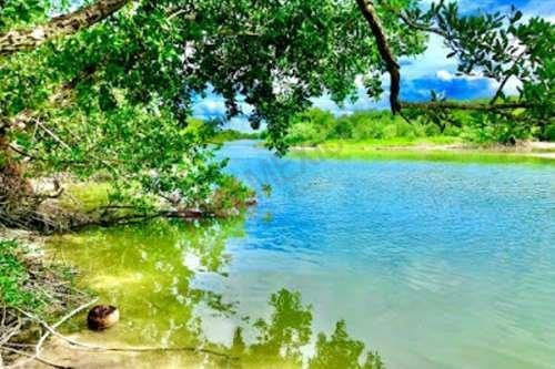 Imagen 20 de 21 de Terrenos En Venta En Mérida, Yucatán, Cerca De La Playa