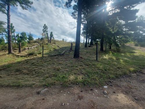 Excelente Oportunidad! Terreno De 11.082mts2 C/agua Vertiente Permanente, Arboleda Autóctona, Ideal Complejo Turístico. Escrituración Inmediata!!