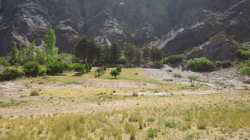 Purmamarca Terrenos Y Fincas