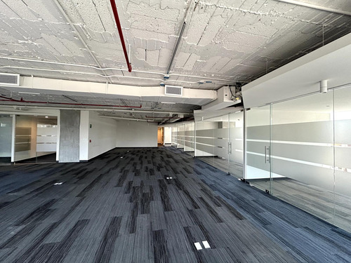 Oficina En Renta - Masaryk Piso 7 - 511 M2