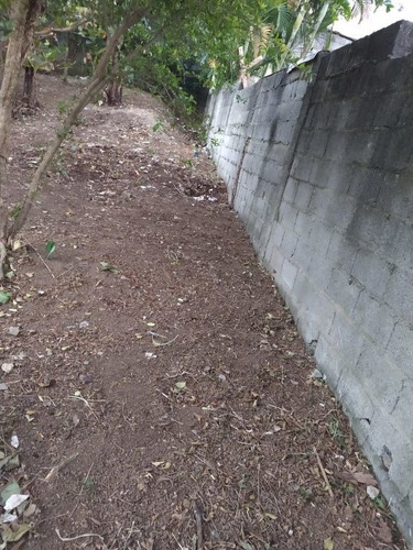 Imagem 3 de 14 de Terrenos Ou Lotes Residenciais Para Venda No Bairro Cidade Parque Brasília Em Guarulhos - Cod: Ai22658 - Ai22658