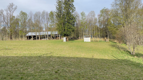 Vendo Campo 6 Ha Con Casa Camino Huichahue (66896)