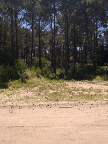 Imagen 3 de 6 de Lote 1200 M2 Zona Alamos Cerca Isla Del Golf