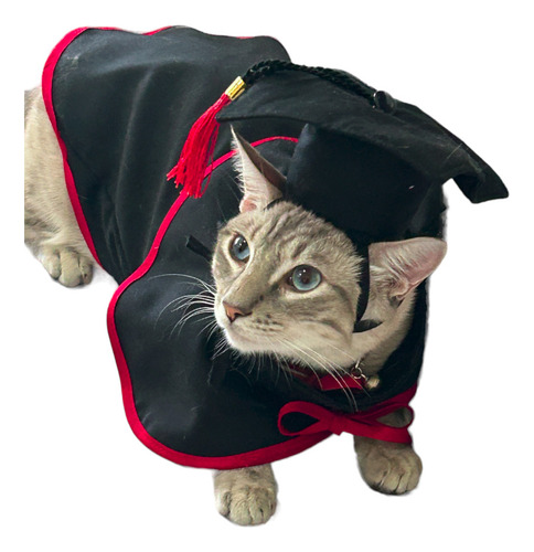Disfraz De Graduado Para Mascotas Talla 2