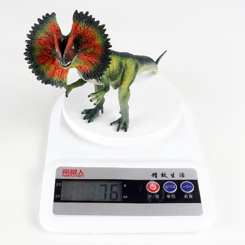 T Boy Gift Modelo Heterodon De Dinosaurio Liso Pintado A Man