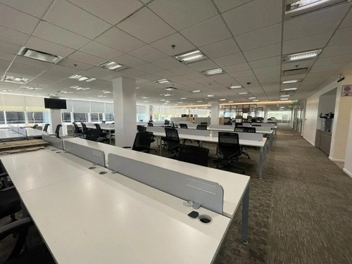 Oficinas En Alquiler | Colonos Plaza, Juana Manso 305-355, Puerto Madero, Caba | 1.461 M²