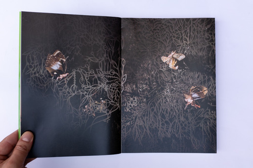 Imagen 7 de 8 de Libro Andres Paredes
