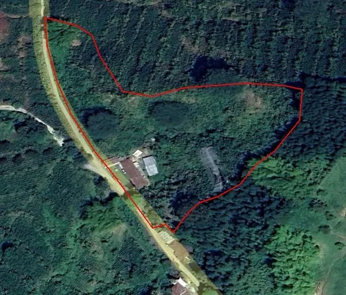 Vendo Finca Productiva En La Vereda La Capilla De Santa Rosa De Cabal 27 Cuadras O 17 Hectareas