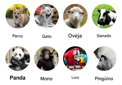 Lector Escaner Chip Mascotas Perros Gatos Usb Recargable