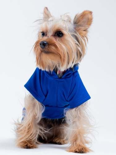 Sudadera Ropa Suéter Perros, Gatos Mascotas Razas Pequeñas