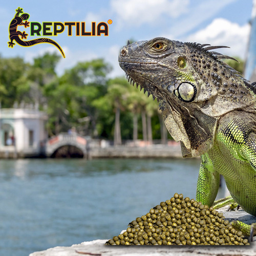 Combo Alimento Iguana Juvenil Vitaminas Y Minerales 2 Pzas