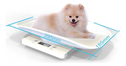 . .. Balanza Digital Electrónica Pequeña For Pesar Animales