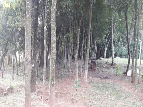 Chácara 10.000 M² - Pega Fogo - Taquara - Rs - 2070 - 33675674