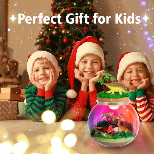 Kit De Terrario Iluminado Dinosaurio Con Luz Led Para Niños