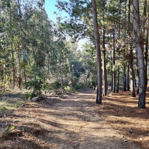 Terreno En Exclusivo Condominio En Matanzas