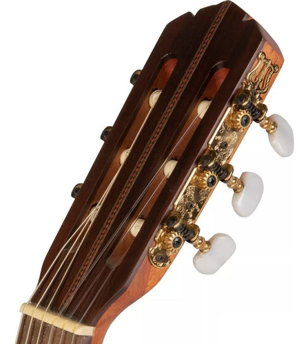Guitarra Electro Criolla Clasica Gracia Cc Fishman Color Media Caja