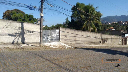 Imagem 13 de 14 de Terreno À Venda, 6000 M² Por R$ 4.000.000 - Taquara. - Te0025