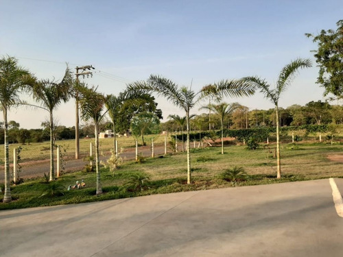 Imagem 8 de 8 de Venda: Ótima Casa No Condomínio Palmas Del Rey - Ca00888