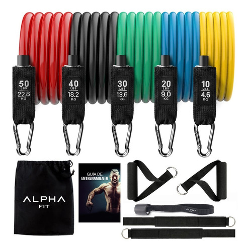 Imagen 7 de 7 de Set De 5 Ligas De Resistencia + Accesorios + Manual De Uso