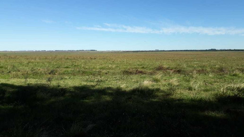 Fazenda Com 4.200 Hectares Para Lavoura E Pecuária - Rs