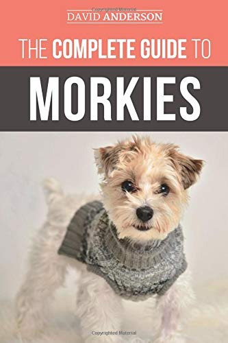 The Complete Guide To Morkies Everything A New Dog Owner Nee
