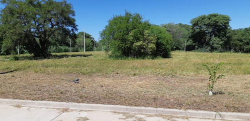 Imagen 7 de 14 de Lotes - B° Los Lapachos 3