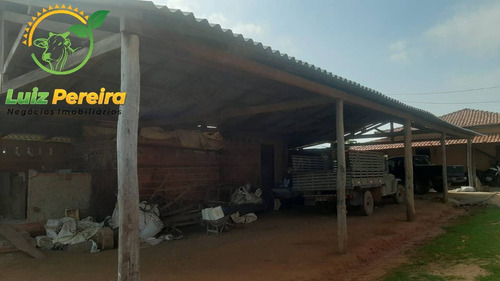 Imagem 12 de 15 de Fazenda À Venda Em Grajaú - Ma - 1.500 Hectares (dupla Aptidão) - 2114