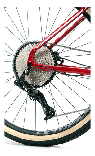 Bicicleta 29 Absolute Wild Boost Elite 12v C/ Hidr (l-19)