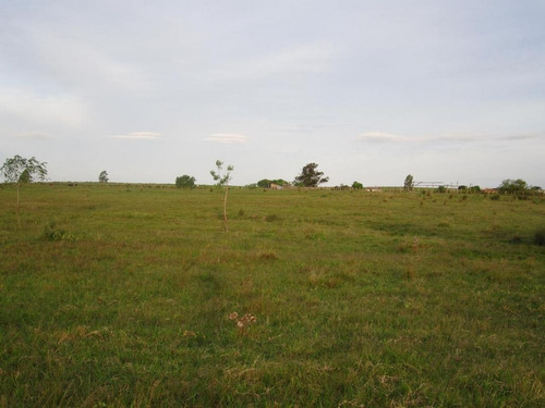 Imagen 9 de 18 de Campo Pegado A Tala, 22 Hás