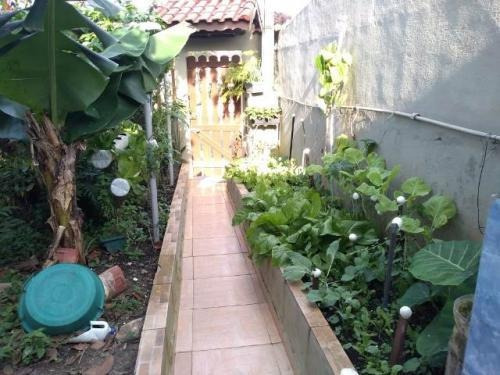 Casa C/ Espaço P/ Piscna E Churrasqueira - Itanhaém 7033 Npc