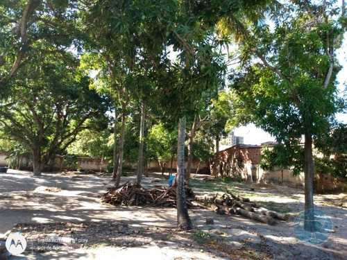 Imagem 7 de 8 de Terreno Na Vila De Ponta Negra - V-11436