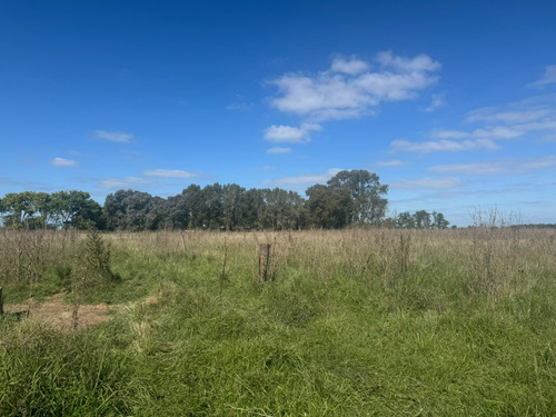 Campo De 30 Hectáreas Con Múltiples Edificaciones Y Uso Mixto