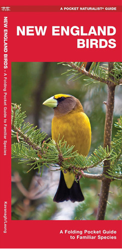 Libro: New England Birds: A Folding Pocket Guide To Familiar