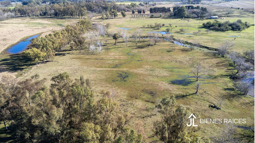 Campo En Venta De Casi 15 Has En Escalada Zarate.