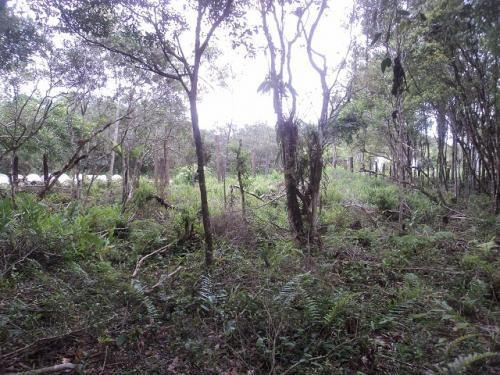 Lote No Litoral Sul, Com 1400 M², Em Itanhaém/sp 6602-pc