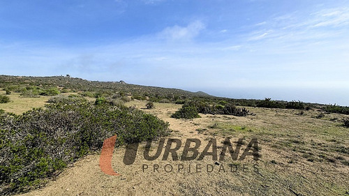 Sitios Exclusivos En Marina Del Arrayan