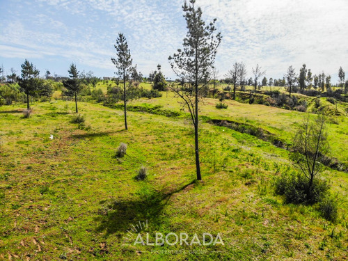 Vendo Terreno Condominio De 5000 M2 En Huacamala - Quillón