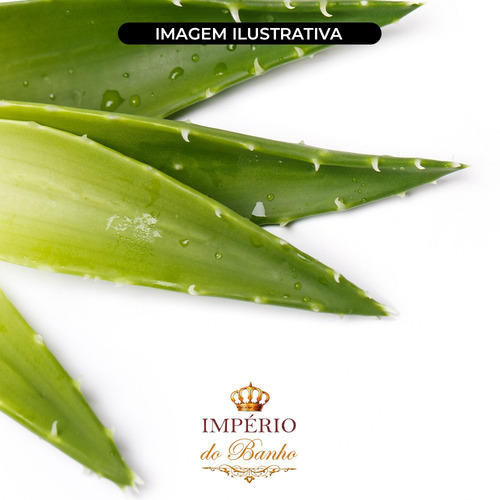Imagem 2 de 2 de Extrato Glicólico De Aloe Vera 100g