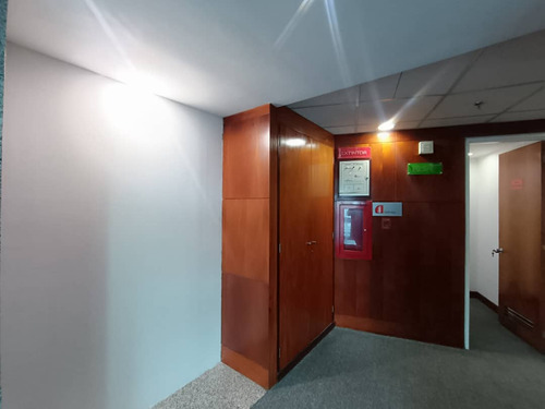 Se Alquila Oficina 271m2 Centro Lido